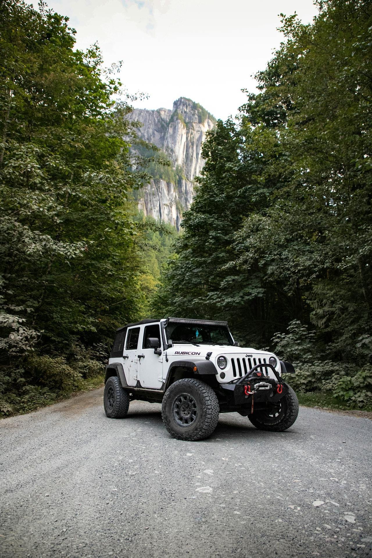 SUVs Dominate: Analyzing the Shift in Consumer Preferences Towards SUVs