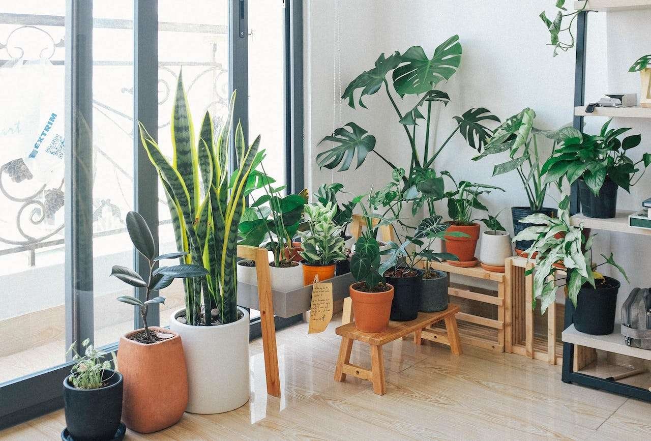 Crafting Your Own Indoor Garden Oasis