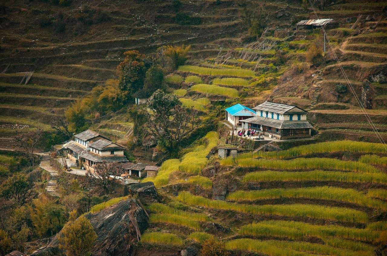 Immersive Homestays and Cultural Exchange