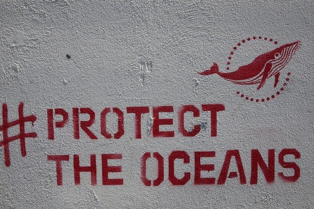 Ocean Protection