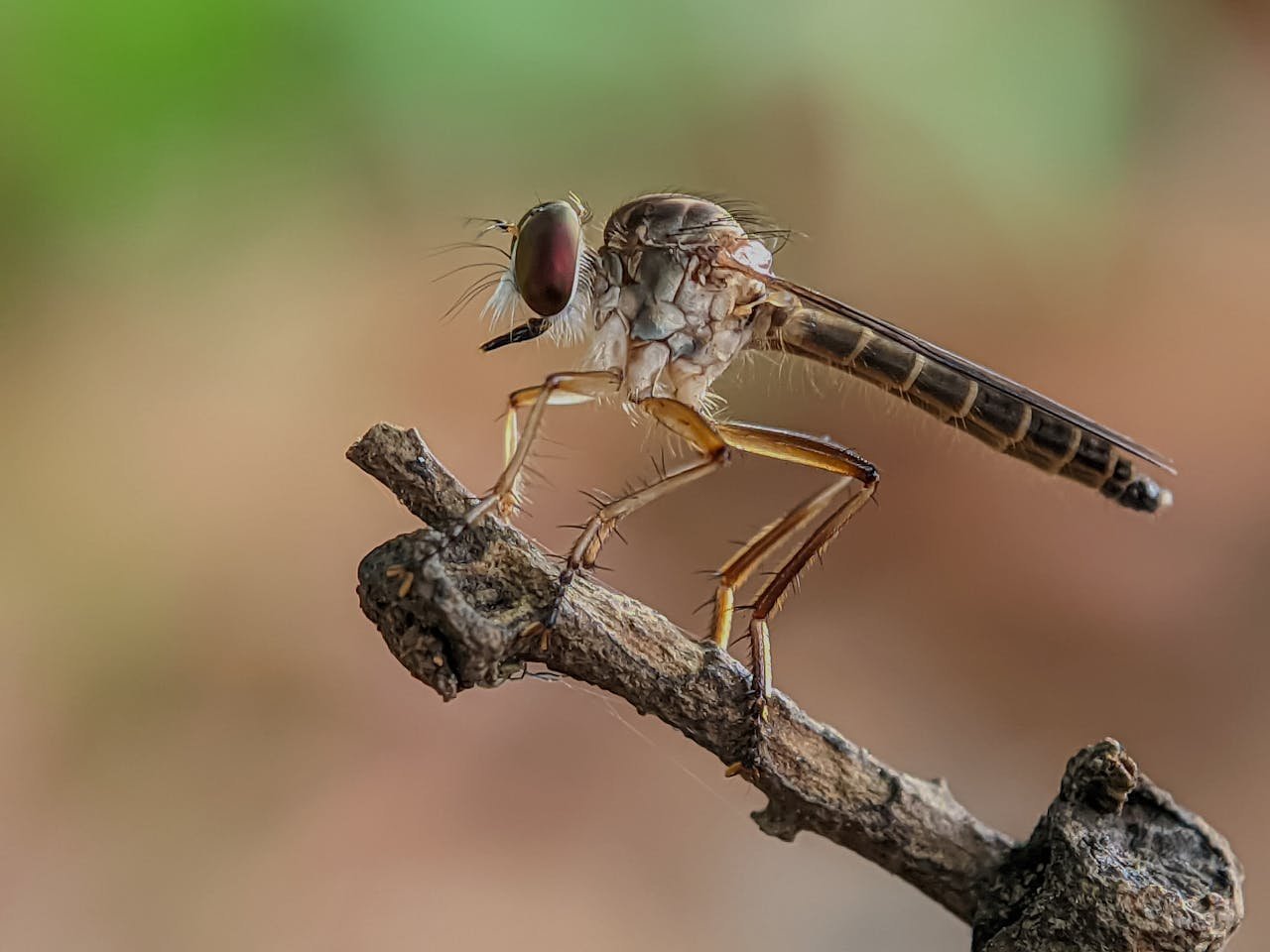 Capturing Motion: Photographing Fast-Moving Wildlife
